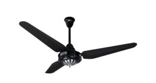 Which motor is used in ceiling fan