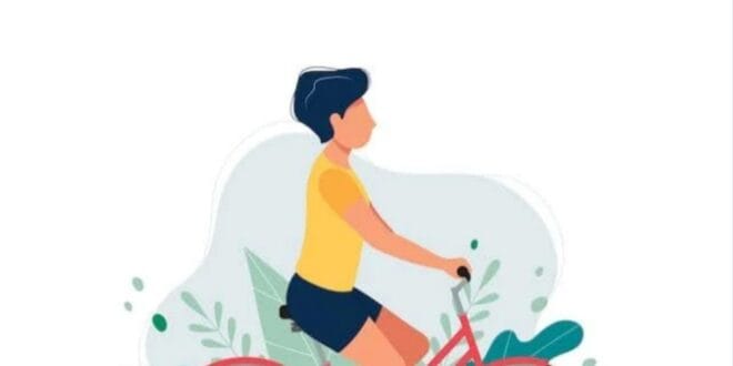 How does a bicycle stay upright?