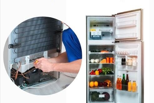 Which gas is used in refrigerator? Can fridge work without gas?