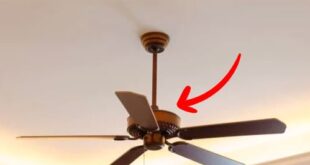 Does a Ceiling Fan running at a slower speed consume less Power (Electricity Units)?