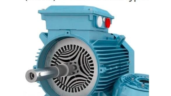 Permanent-Magnet Synchronous Motors