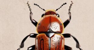 The Metamorphosis by Franz Kafka