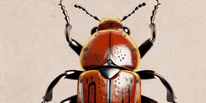 The Metamorphosis by Franz Kafka