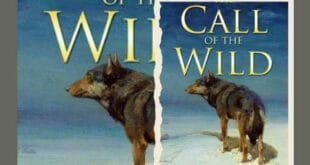 The Call of the Wild by Jack London